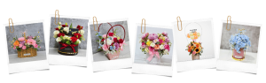 Bloom boxes and flower baskets